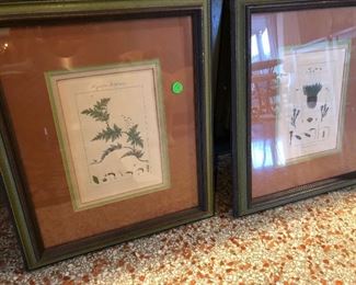 Botanicals, framed.