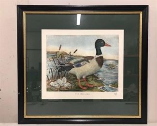 Very expensive framing for antique print