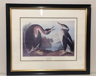 More Audobin - the master of bird documentation