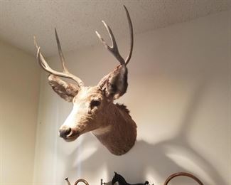 Deer mount