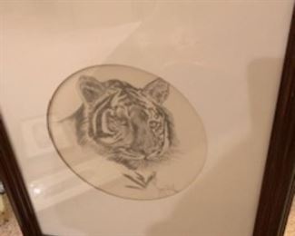 Hand drawn Tiger in pencil