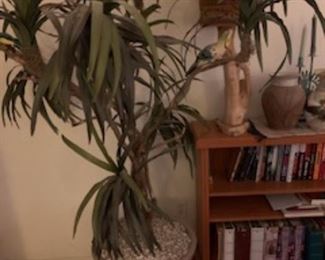 Large artificial plant in southwestern pottery