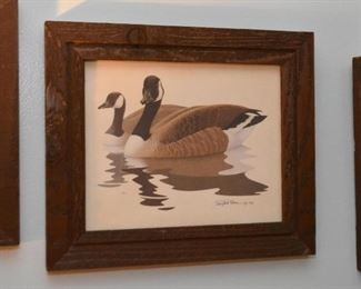 Framed Prints (Ducks)