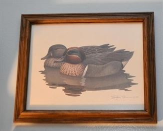 Framed Prints (Ducks)