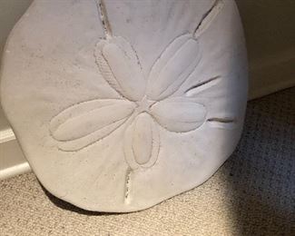 Wow thats a big sand dollar