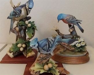 Birds by Andrea
