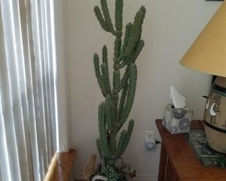 Decorative Cactus