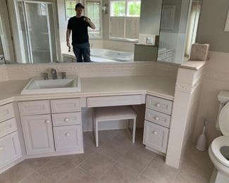 Stunning master bathroom