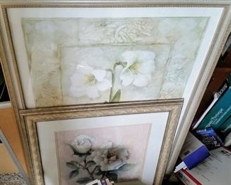 Framed Pictures for Your Home