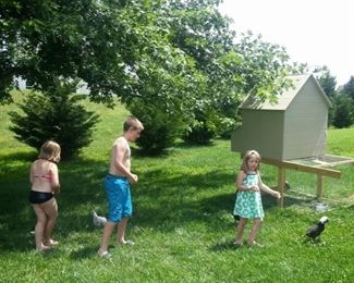 Full Picture of Chicken Coop on Wheels with Fenced Run Underneath and 2 Hatch Doors for Chicken Ladder and Gathering Eggs. Very Cozy for Your Ladies! Grandkids Not Included! :)