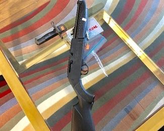 760 Pumpmaster Air Rifle