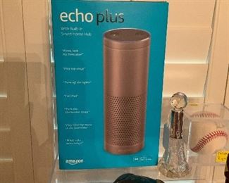 NIB Echo