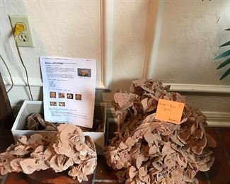 Large Desert Rose Crystals