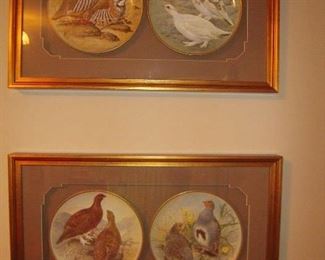 framed collector bird plates  six total