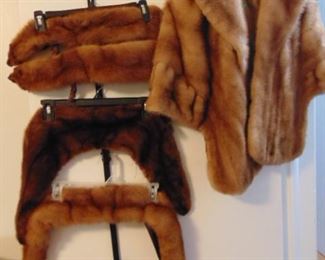 Fur Collection