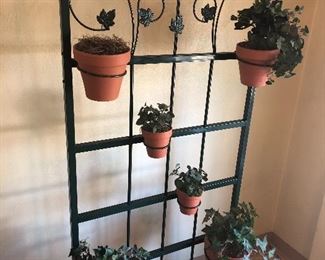 Plant Rack