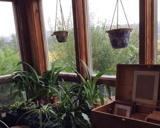 Plants and Chatham pottery planters
