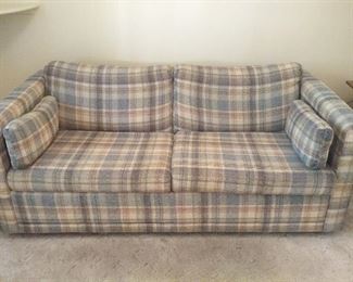 Pull Out Sleeper Sofa