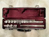 Flute in case