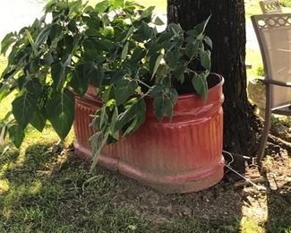 Water trough made into planter