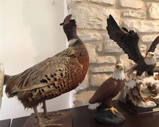 taxidermy