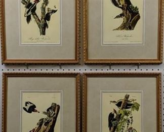 4 Woodpeckers by John Audubon