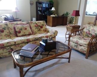 cane chairs & coffee table, nice sofa
