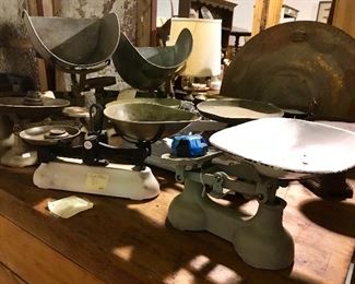 Lots of kitchen scales