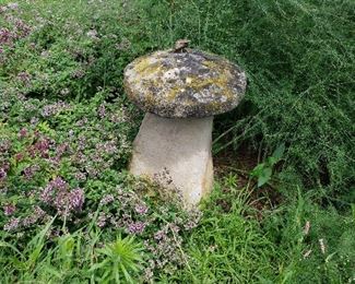 English Staddle Stone- Used before foundations were invented for barns, graneries to raise and building and keep rodents out.  A one of a kind unique piece