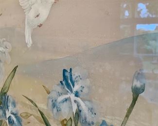 White dove with blue iris.