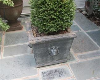 CONCRETE & IRON PLANTERS