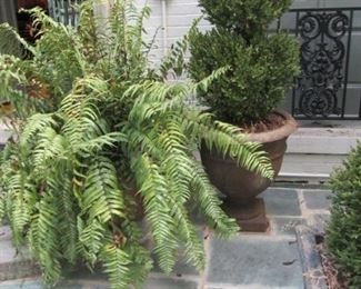 CONCRETE & IRON PLANTERS