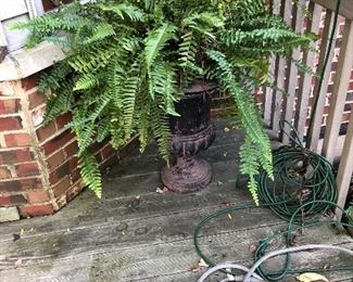 Urn w/ Fern