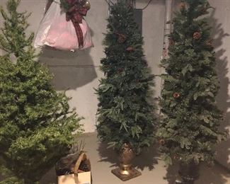 Christmas Trees