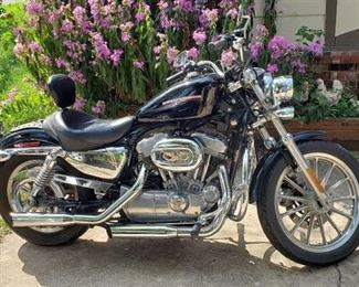 2005 Harley-Davidson XL883L Motocycle - Mustang Back Rest Seat and Harley Life to Ride Chrome Decor - Mileage: 2984 miles - with Clear Faring
