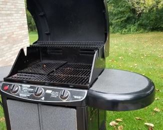 Nice Grill