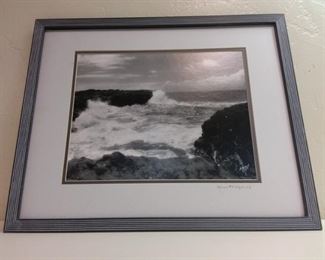 art photo lela bahl hawaii