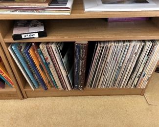 Hundreds of vinyl LPs.