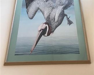 Large Pelican Picture $ 78.00