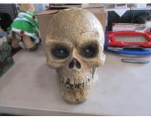 Halloween Decorations - Skull