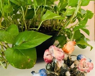 Live indoor plant, porcelain floral accent