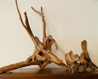 Petrified wood accents