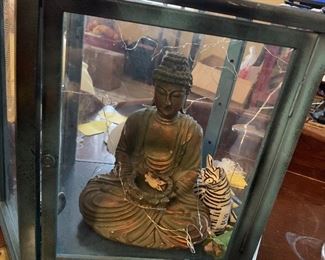Mr. Buddha in shadow box case