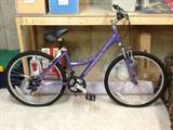 diamond back mountain bike