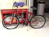 daimond back mountain bike