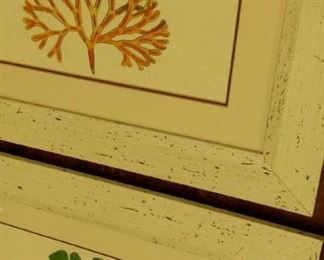 tbs coral framed prints