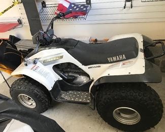 YAMAHA BREEZE LIGHTLY USED