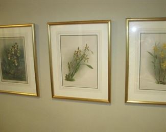 Set of 4 Botanical Prints.
