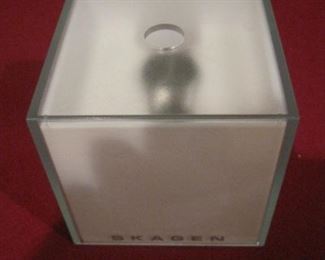 Skagen Watch.