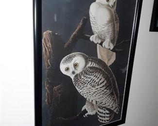 Owl prints